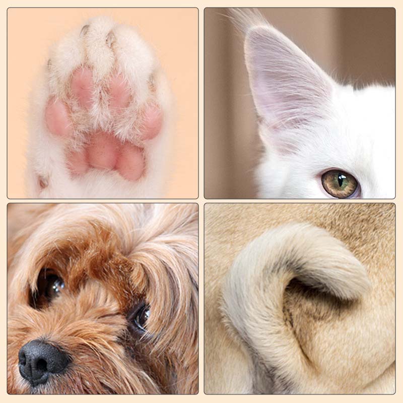 ShinePaws™ - LED Pet Grooming Clipper