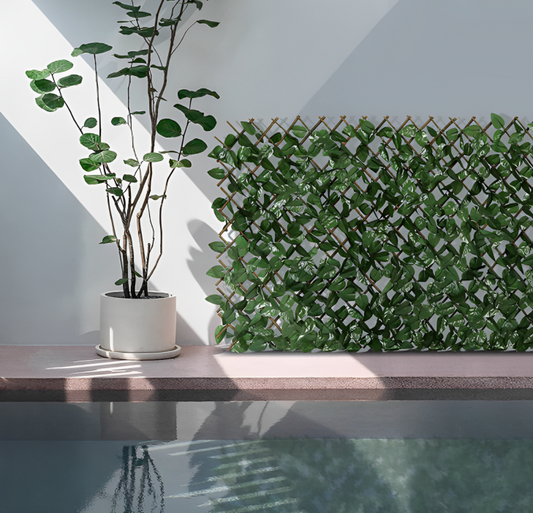 GreenHaven - Instant Lush Privacy with Zero Maintenance