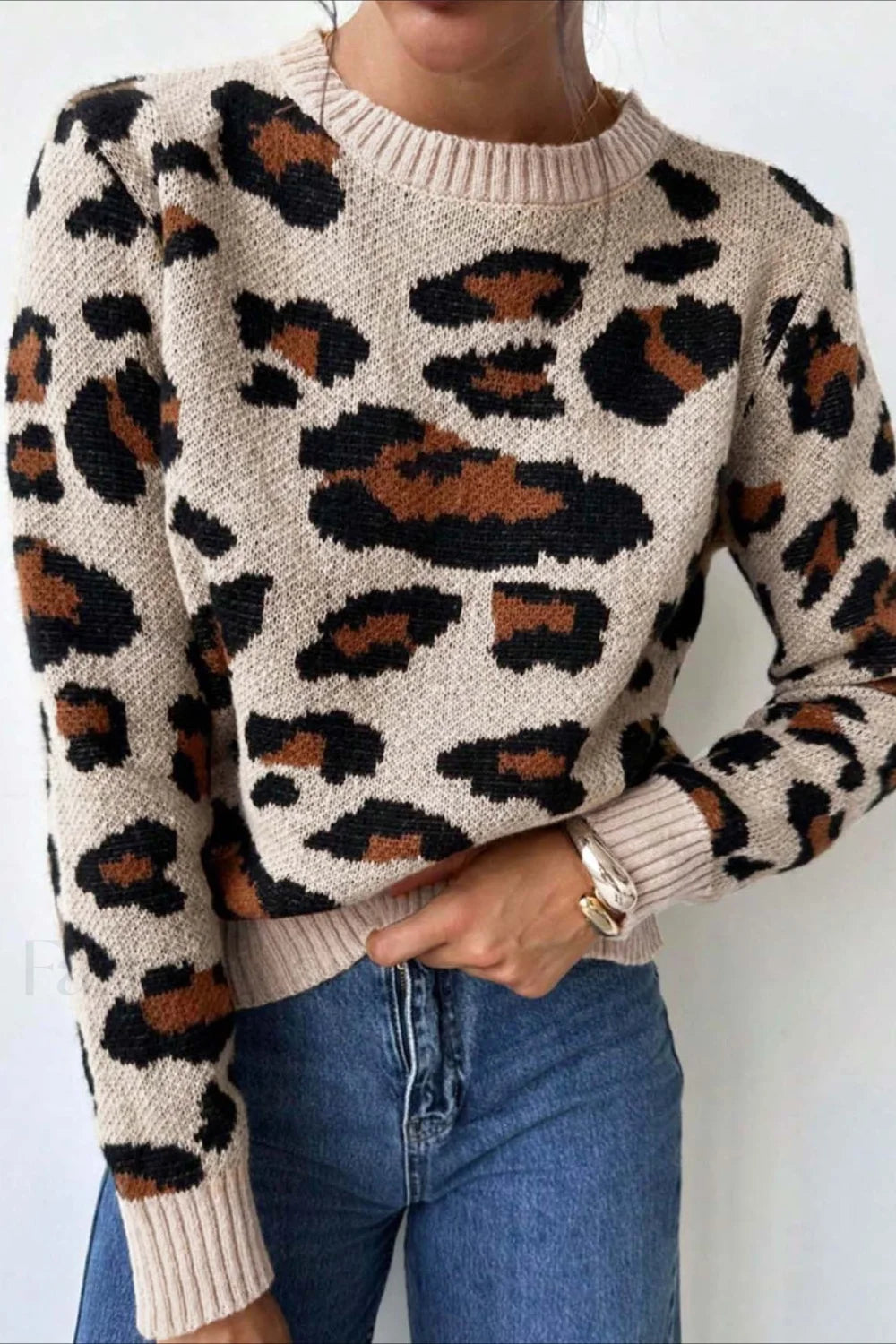 Chic Colorblock Leopard Print Crewneck Sweater