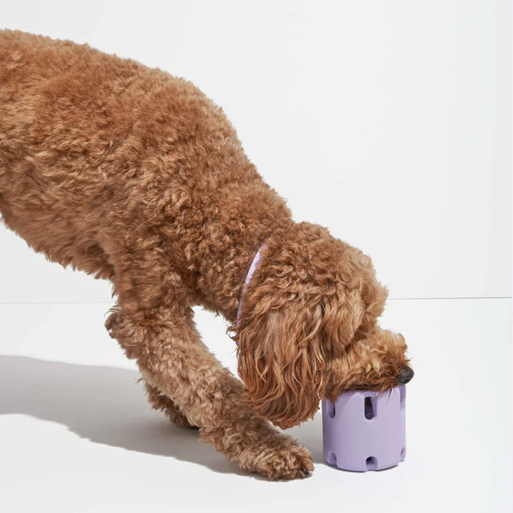 FetchFun™ - Durable Tennis Dog Chew Toy for Active Play