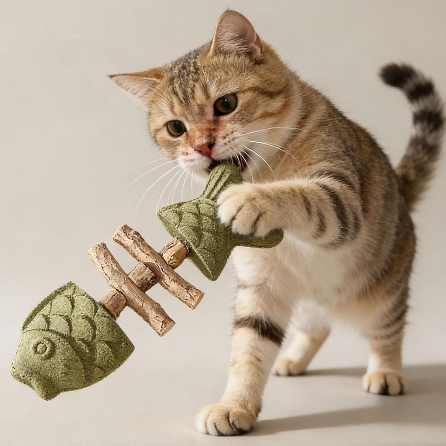 PurrEase - Calms Cats Naturally While Cleaning Teeth Gently