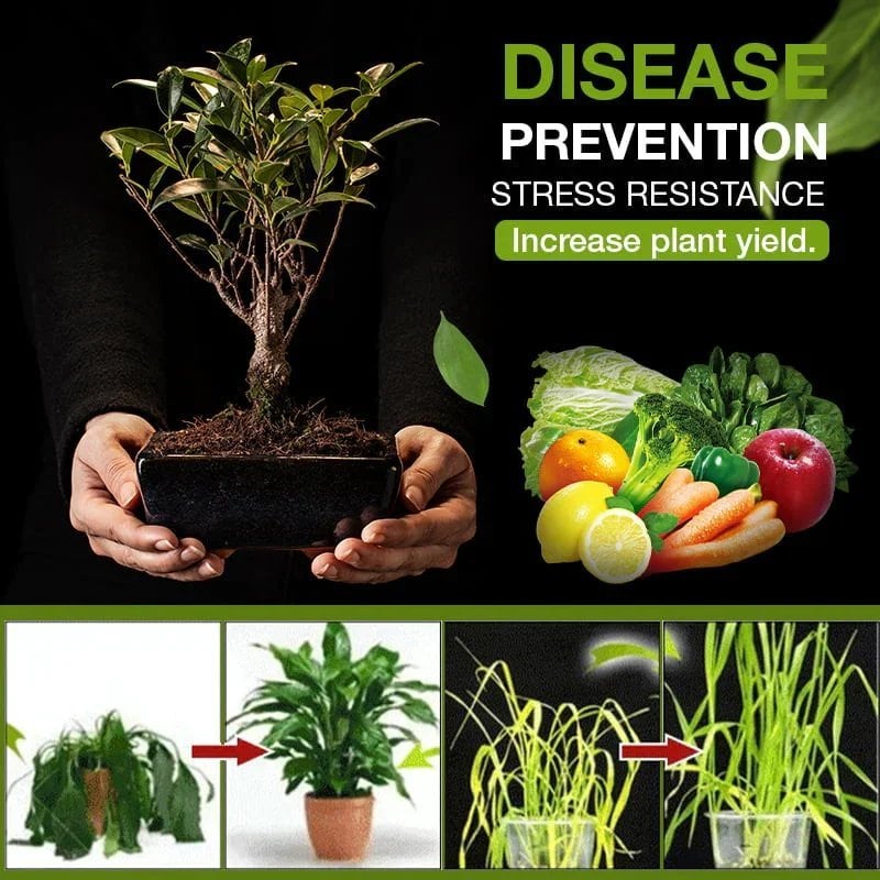 EarthGlow™ - Soil Activated Garden Treasure Enhancer