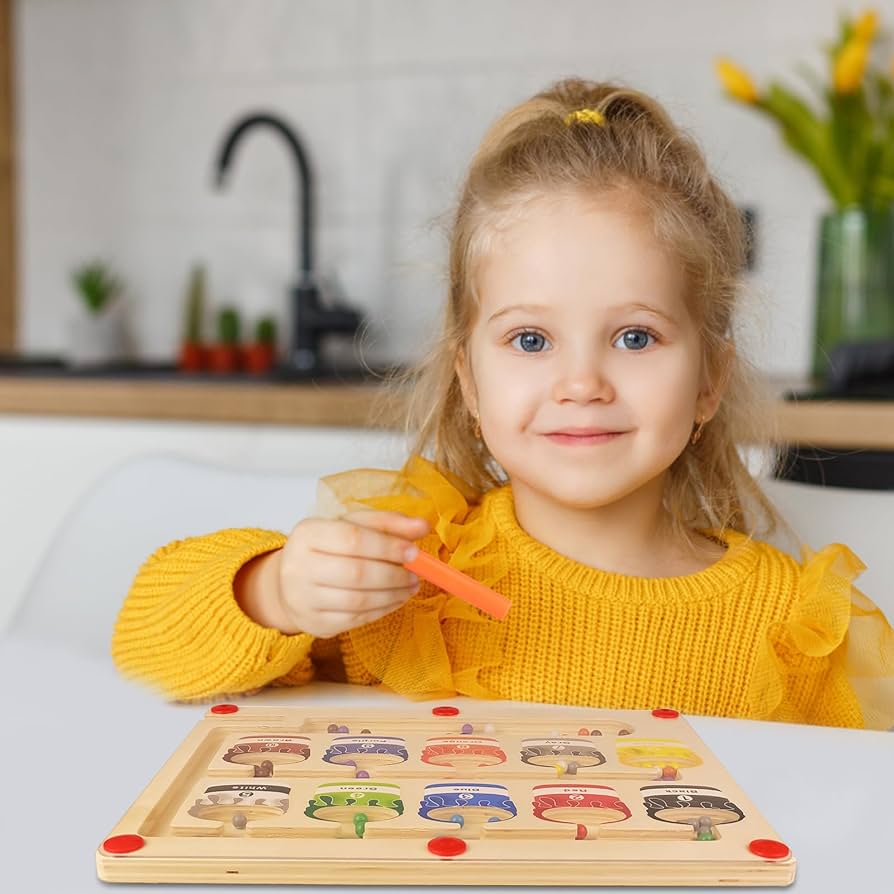 EduMaze™ - Montessori Magnetic Labyrinth Puzzle