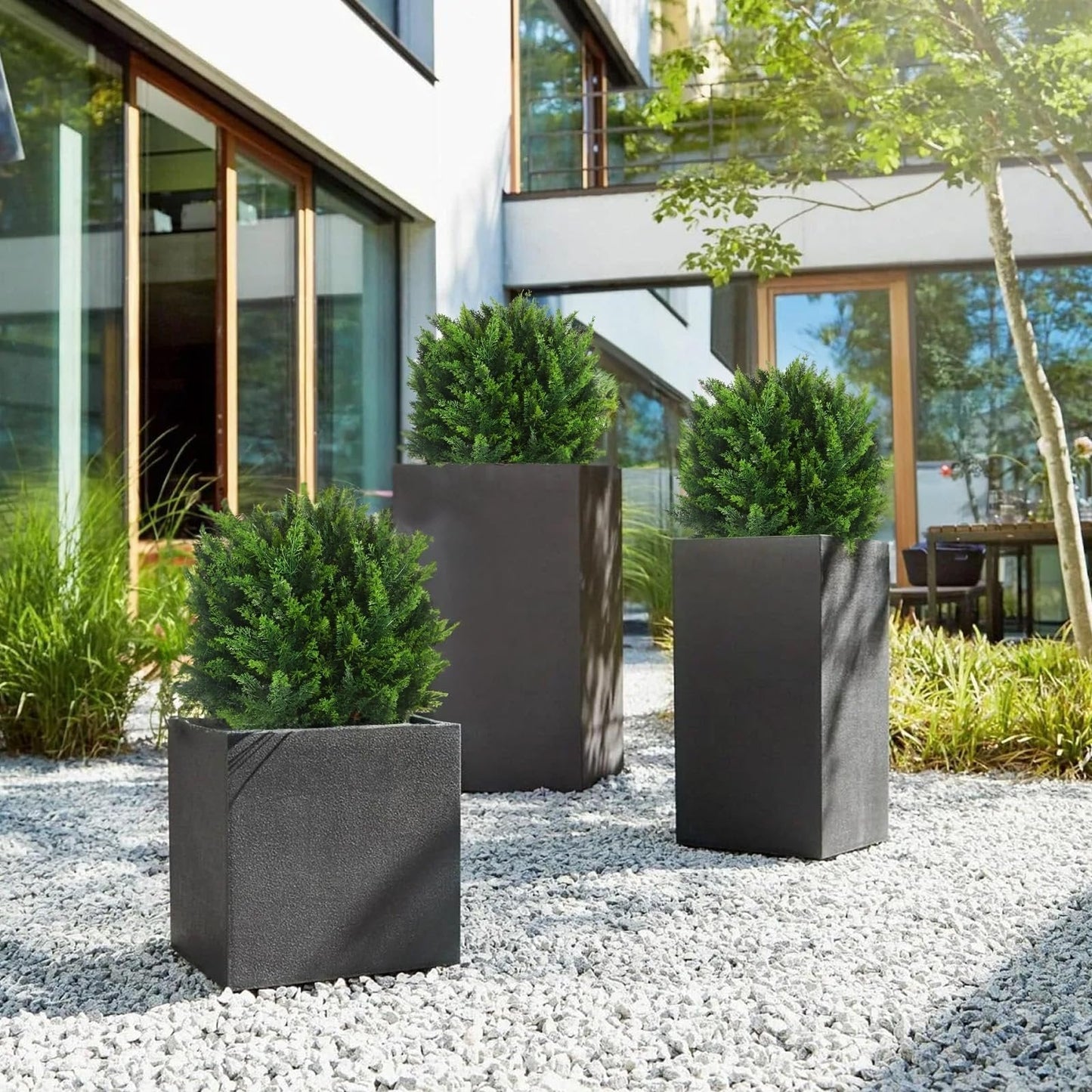 EverLush - Lush Greenery That Stays Vibrant Without Any Care