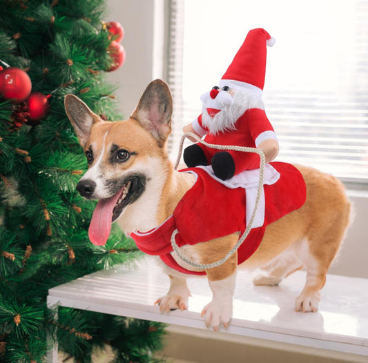 Festive Holiday Dog Sweater for Cozy Celebrations