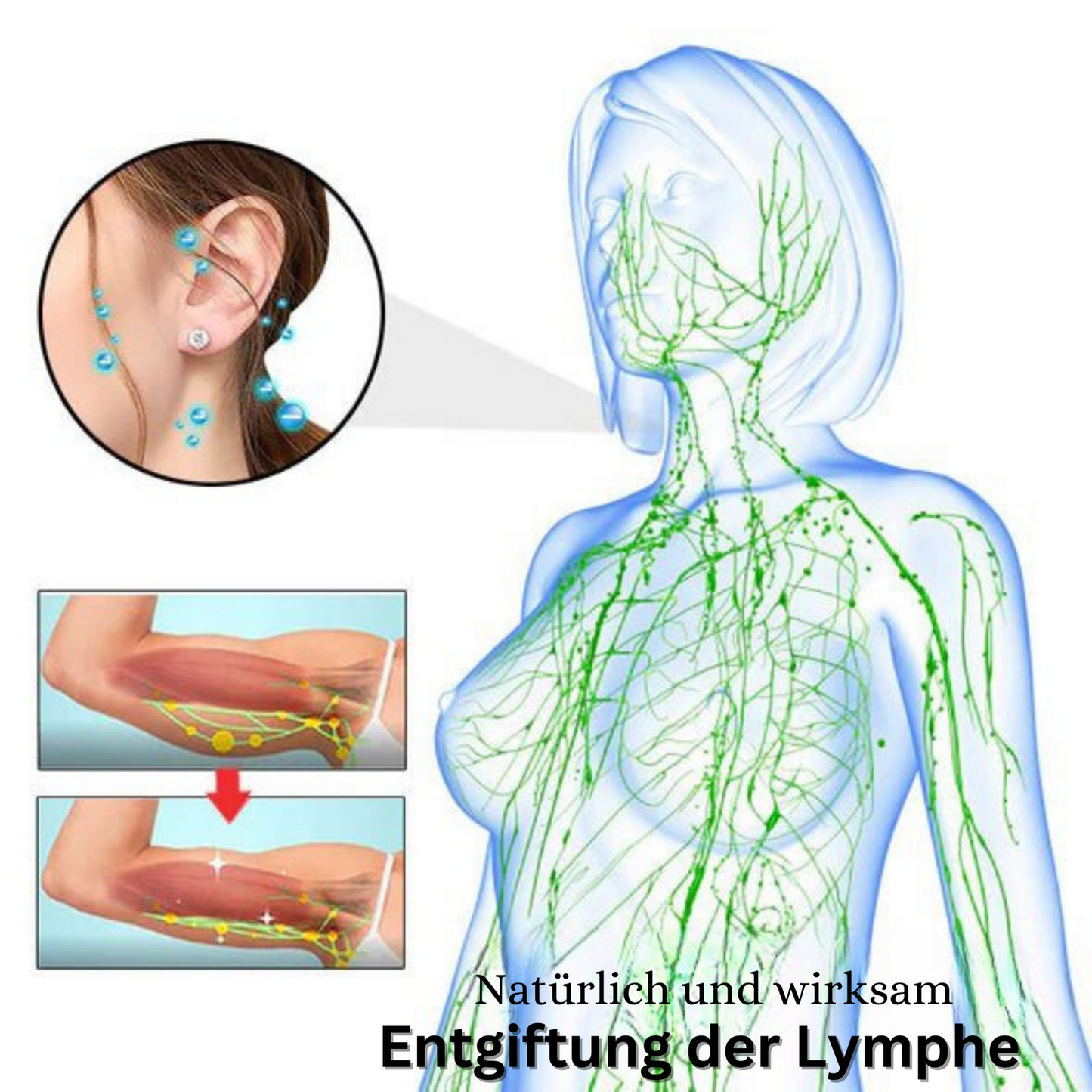 Acurani™ - Magnetic Therapy Earrings for Wellness