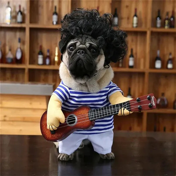Cute and Spooky Pet Costume for Halloween Fun