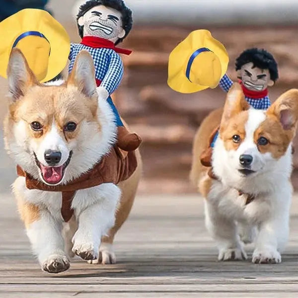 Cute and Spooky Pet Costume for Halloween Fun