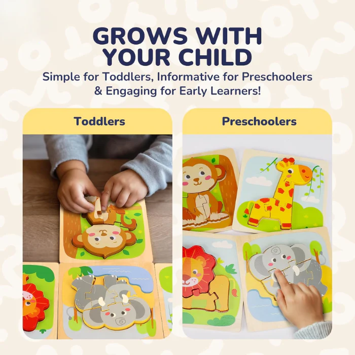 Wooden Puzzle Toy