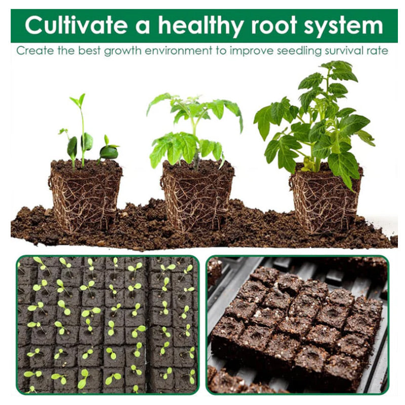 EcoGrower™ - Sustainable Seedling Starter Kit