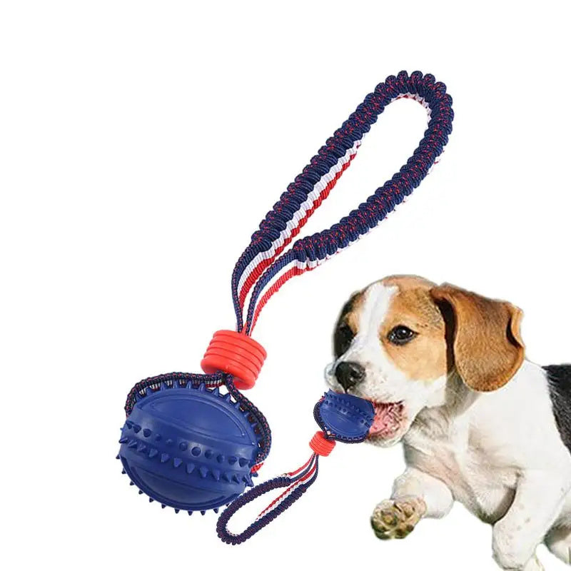 PlayPounce™ - Interactive Rolling Pet Toy Ball