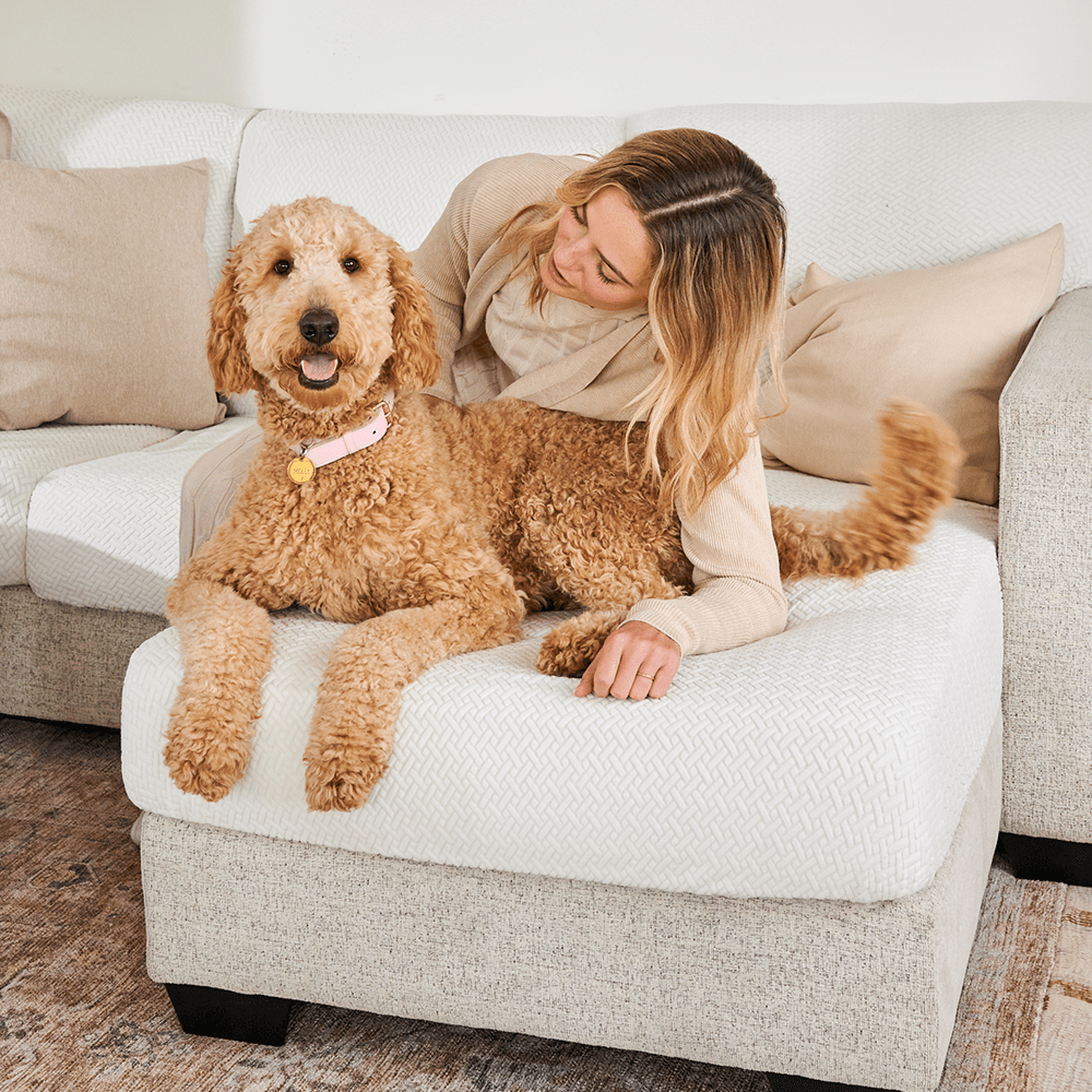 CozyNest™ - Classic Stretch Sofa Cover