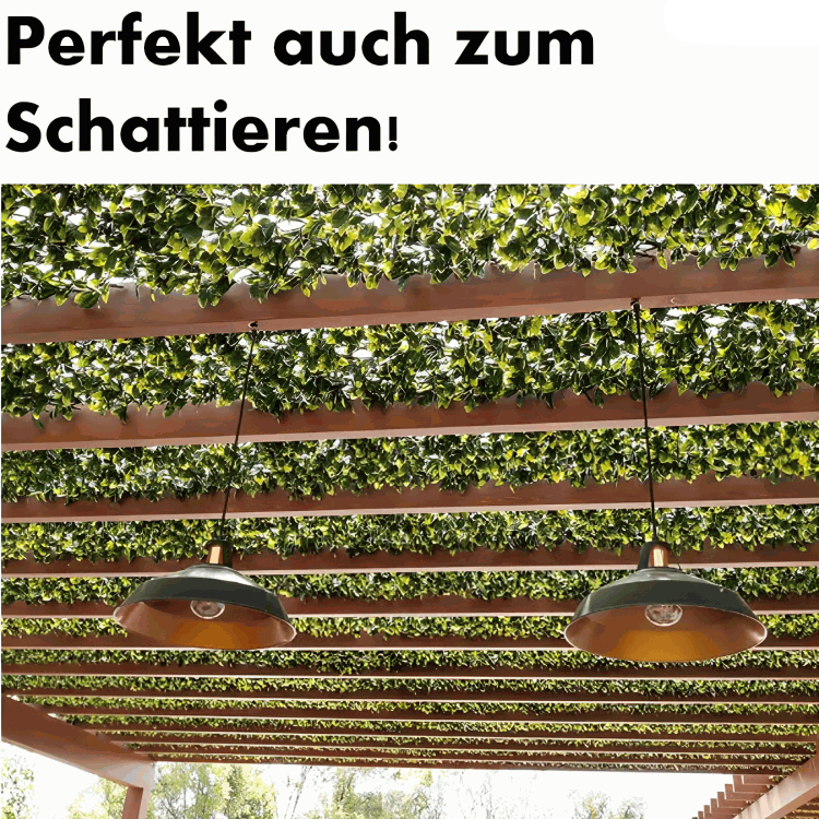 GreenHaven - Instant Lush Privacy with Zero Maintenance