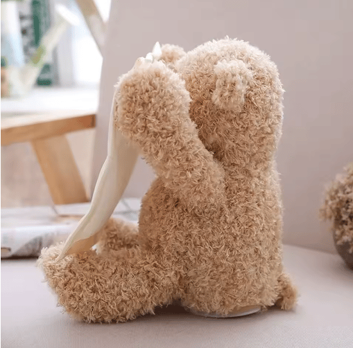 CozyNest™ - Smoothing Mood Plush Bear