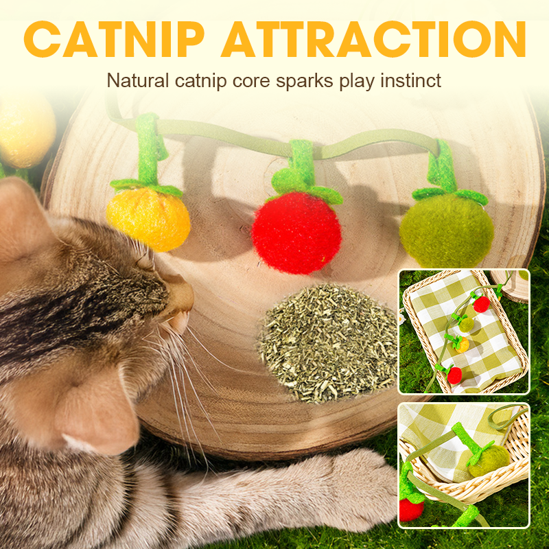 PurrVibe - Ignite Playfulness and Energy in Your Cat Today