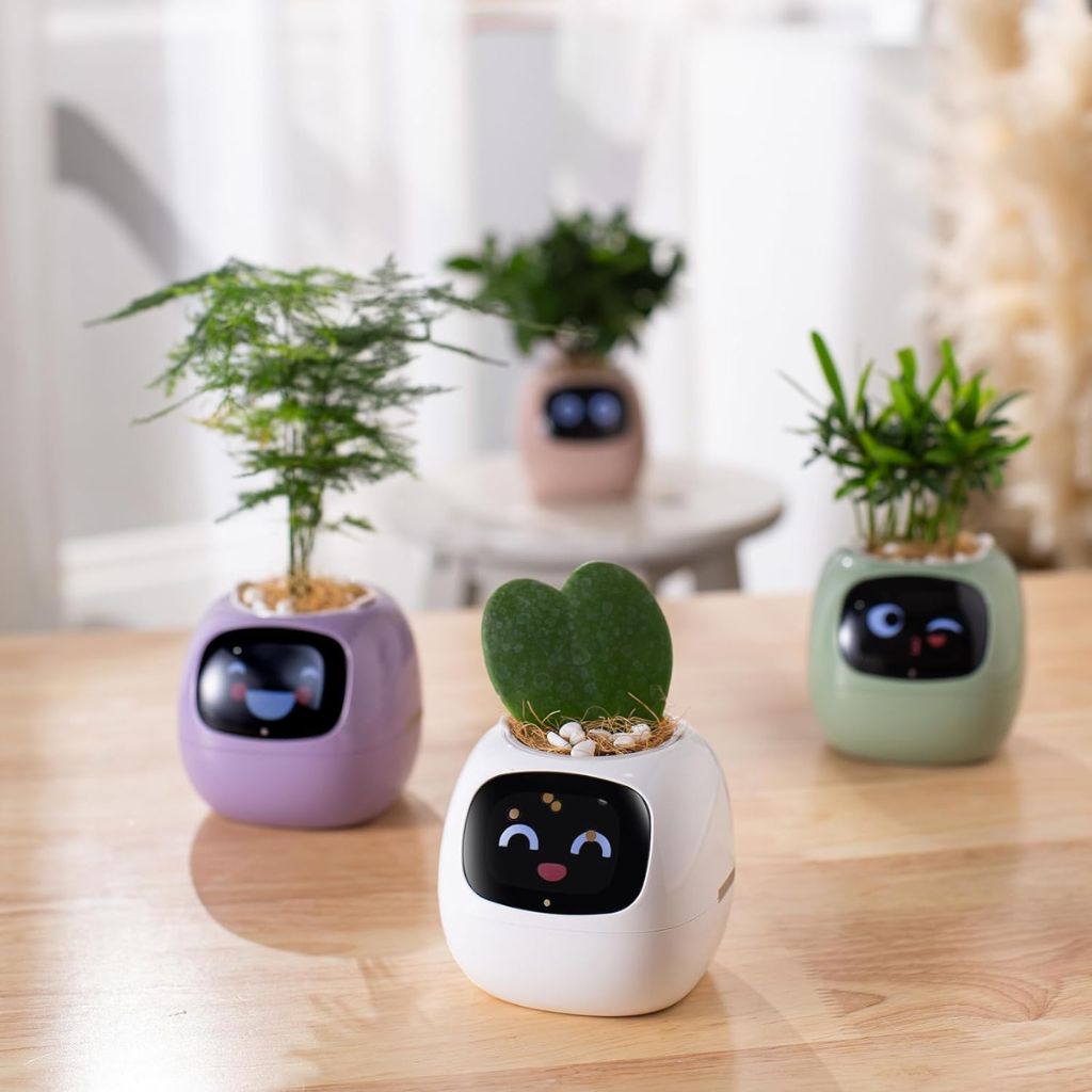 Modern Self-Watering Indoor Plant Pot