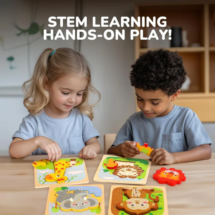 Wooden Puzzle Toy
