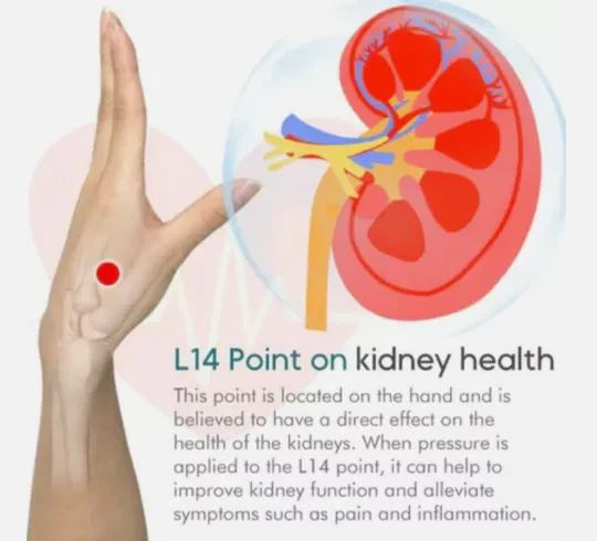 Magnetic Acupressure Clip for Sugar Control and Wellness
