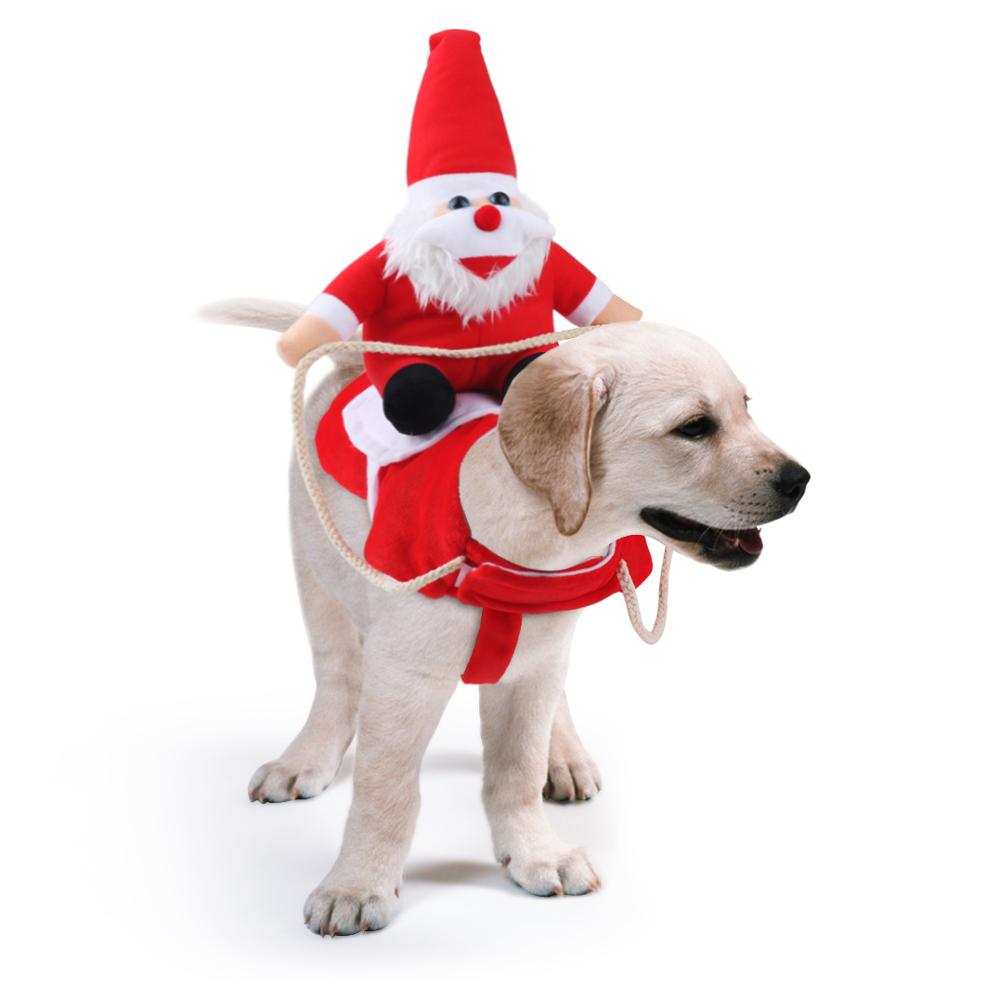 Festive Holiday Dog Sweater for Cozy Celebrations