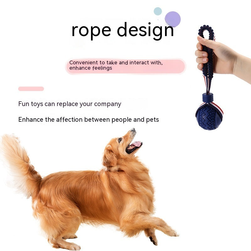 PlayPounce™ - Interactive Rolling Pet Toy Ball