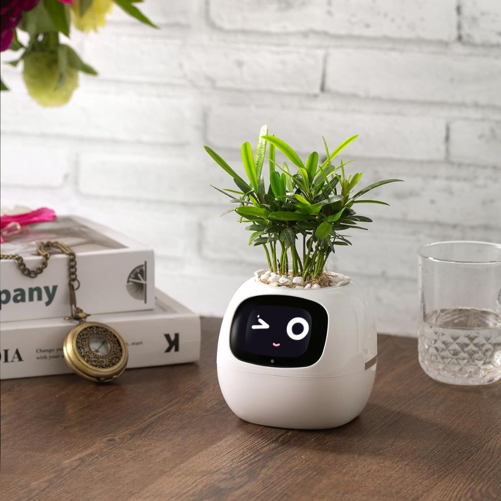 Modern Self-Watering Indoor Plant Pot