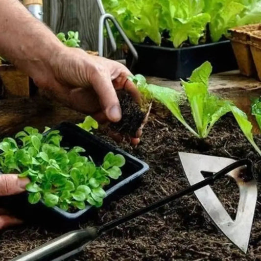 GardenEase™ - Upright Hollow Blade Weed Puller